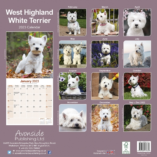 West Highland Terrier Calendar 2023 (Square) Dogs Naturally